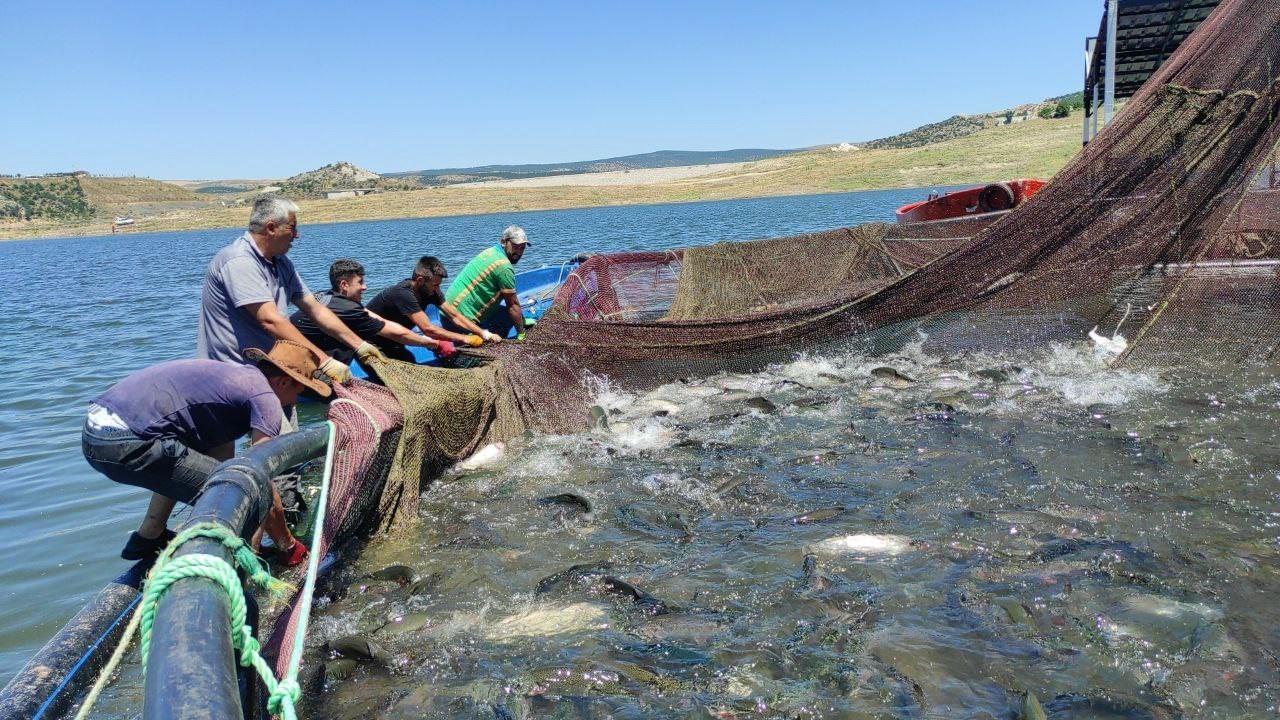 Some 325 tons of trout died of ‘oxygen deprivation’