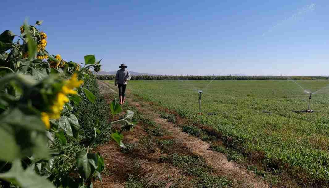 Deeper wells threatening Türkiyes breadbasket
