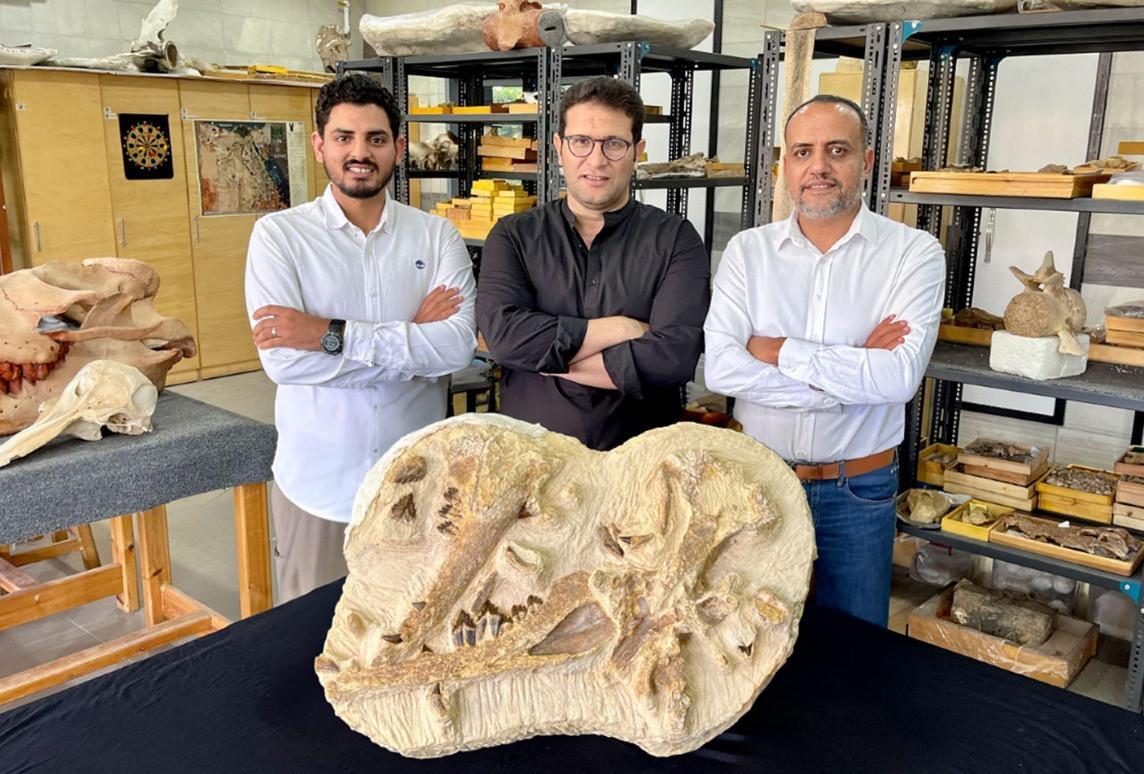 Egypt dig unearths 41 mln-year-old whale in desert