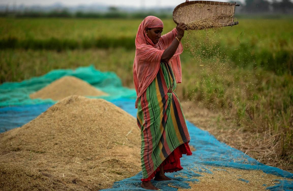 El Nino threatens food security