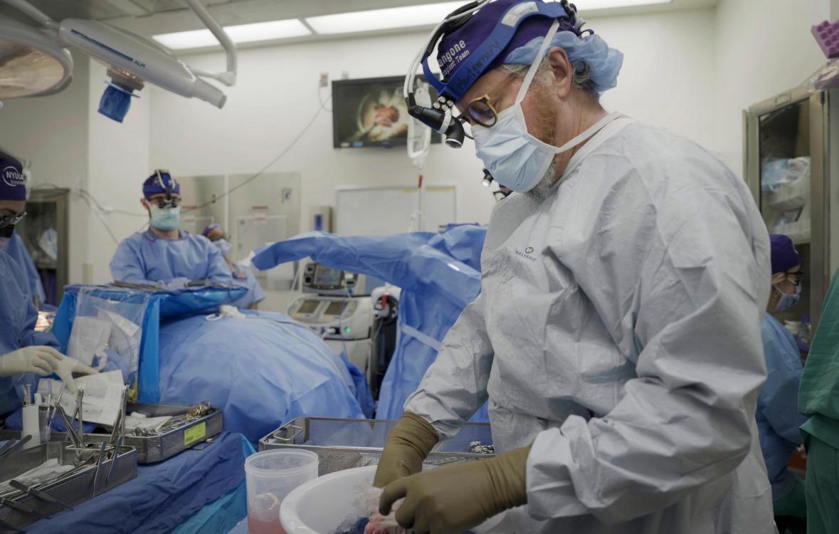 US surgeons say pig kidney functional in human for more than a month