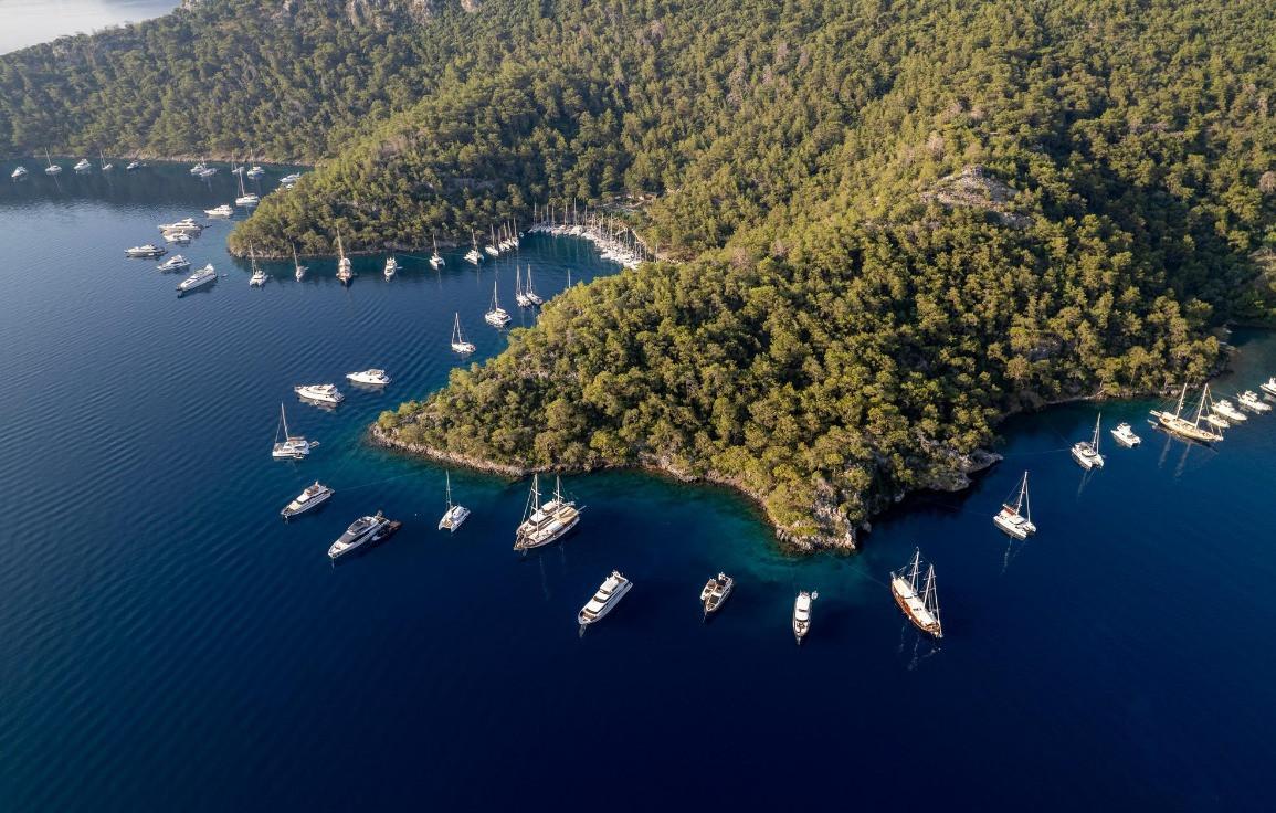‘AI should be used to lure tourists to Türkiye’