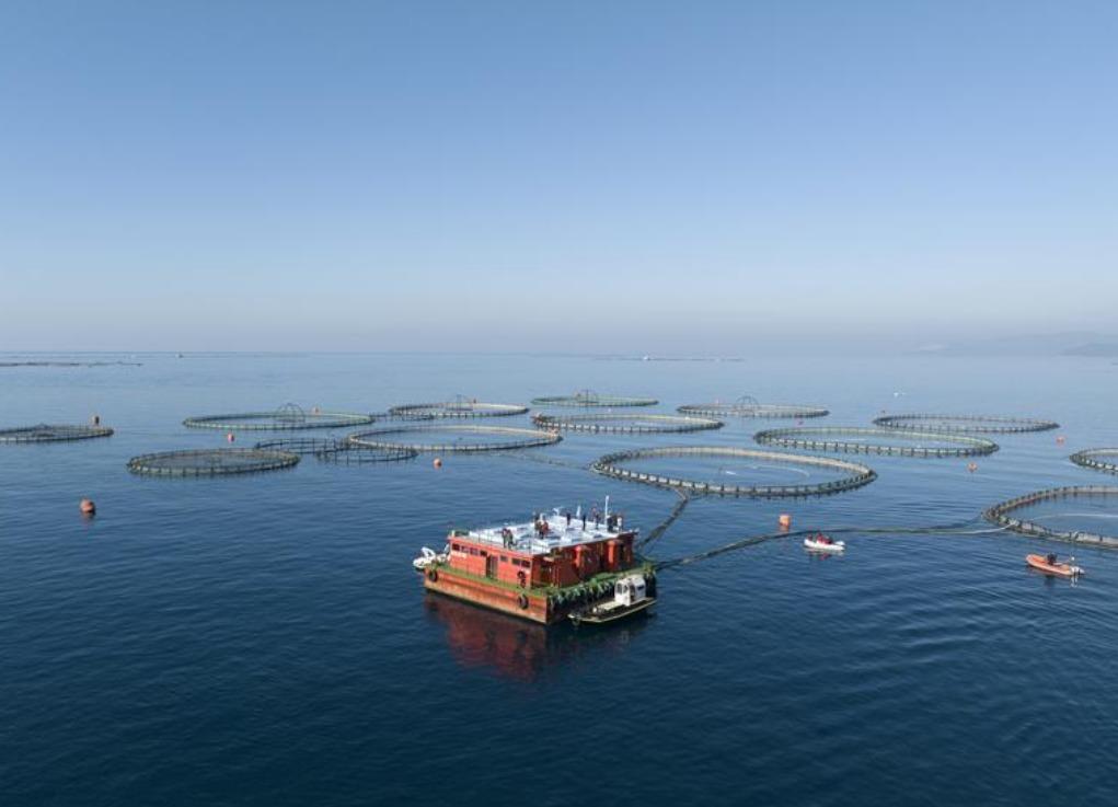 Ministry tightens inspections on illegal fishing