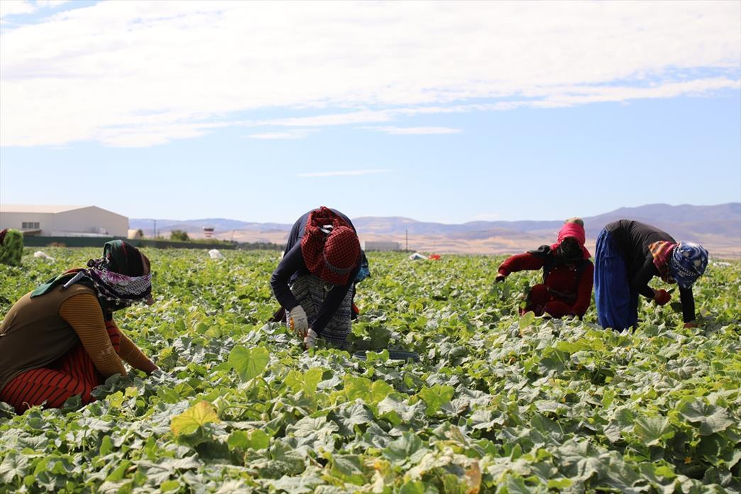 Annual growth in agriculture input costs slows