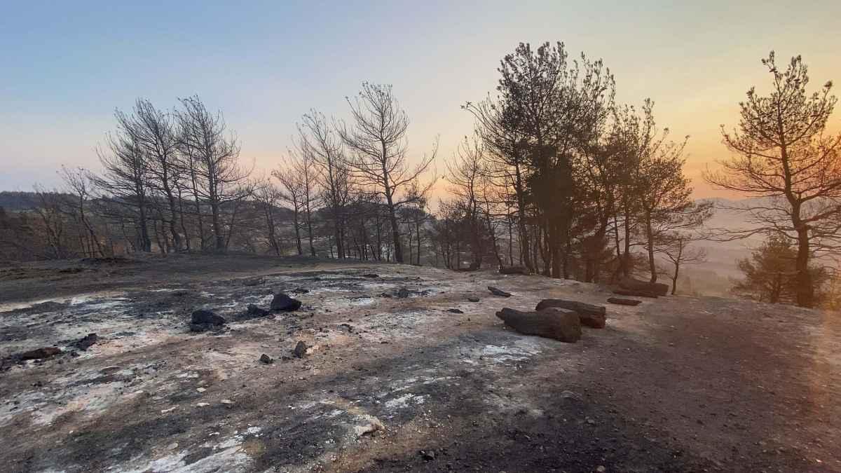 Çanakkale wildfire brought under control after 48 hours