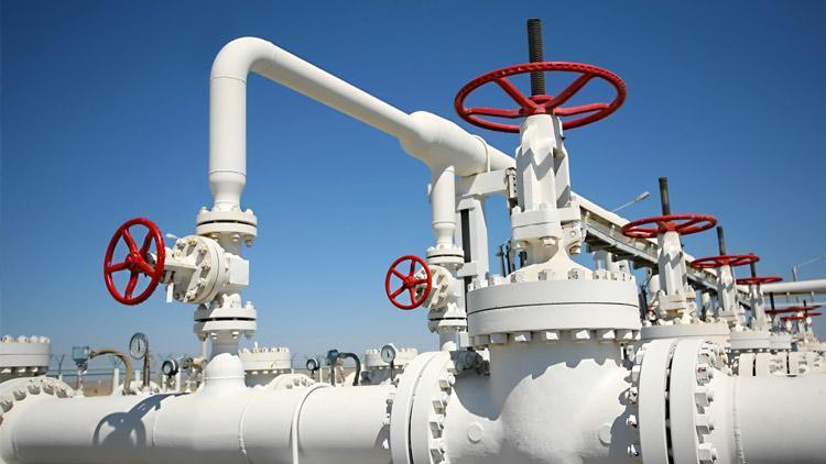 Natural gas imports down in June