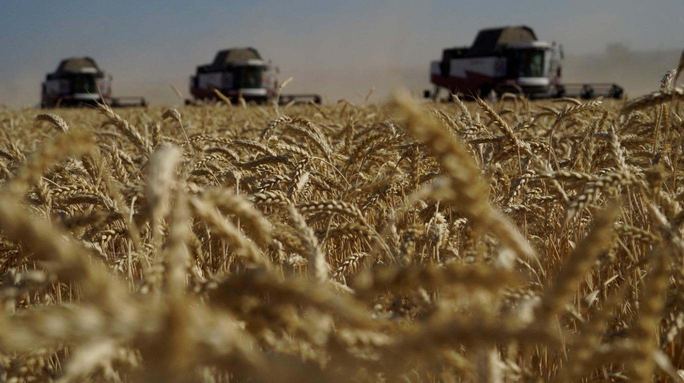 Turkish companies ready to process Russian grain: Association