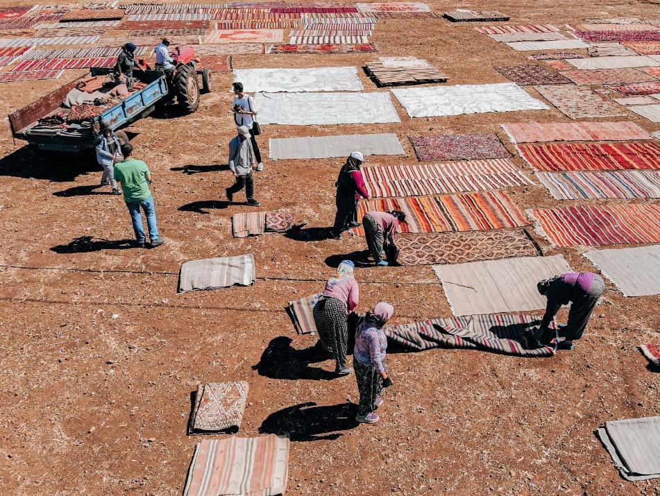 Locals kick off ‘carpet harvest’ after months-long restoration