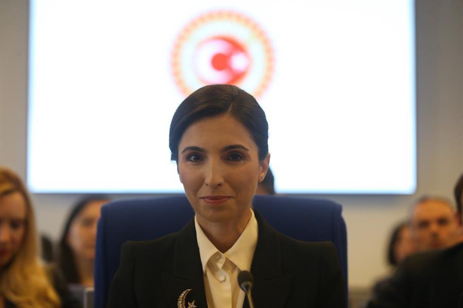 Central Bank has no exchange rate target: Erkan