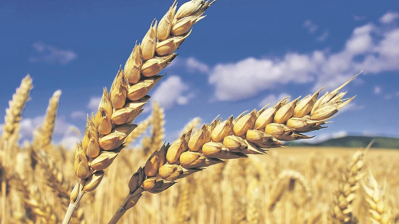 Disasters cause $3.8 tln in crop loses over 30 years: FAO