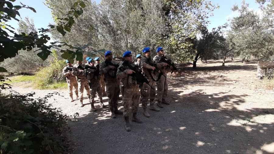 Security forces patrol olive gardens at harvest season