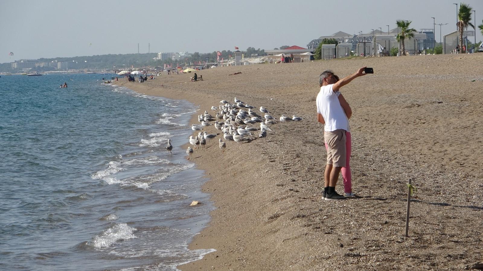 Expert calls for protection of town hosting endemic species