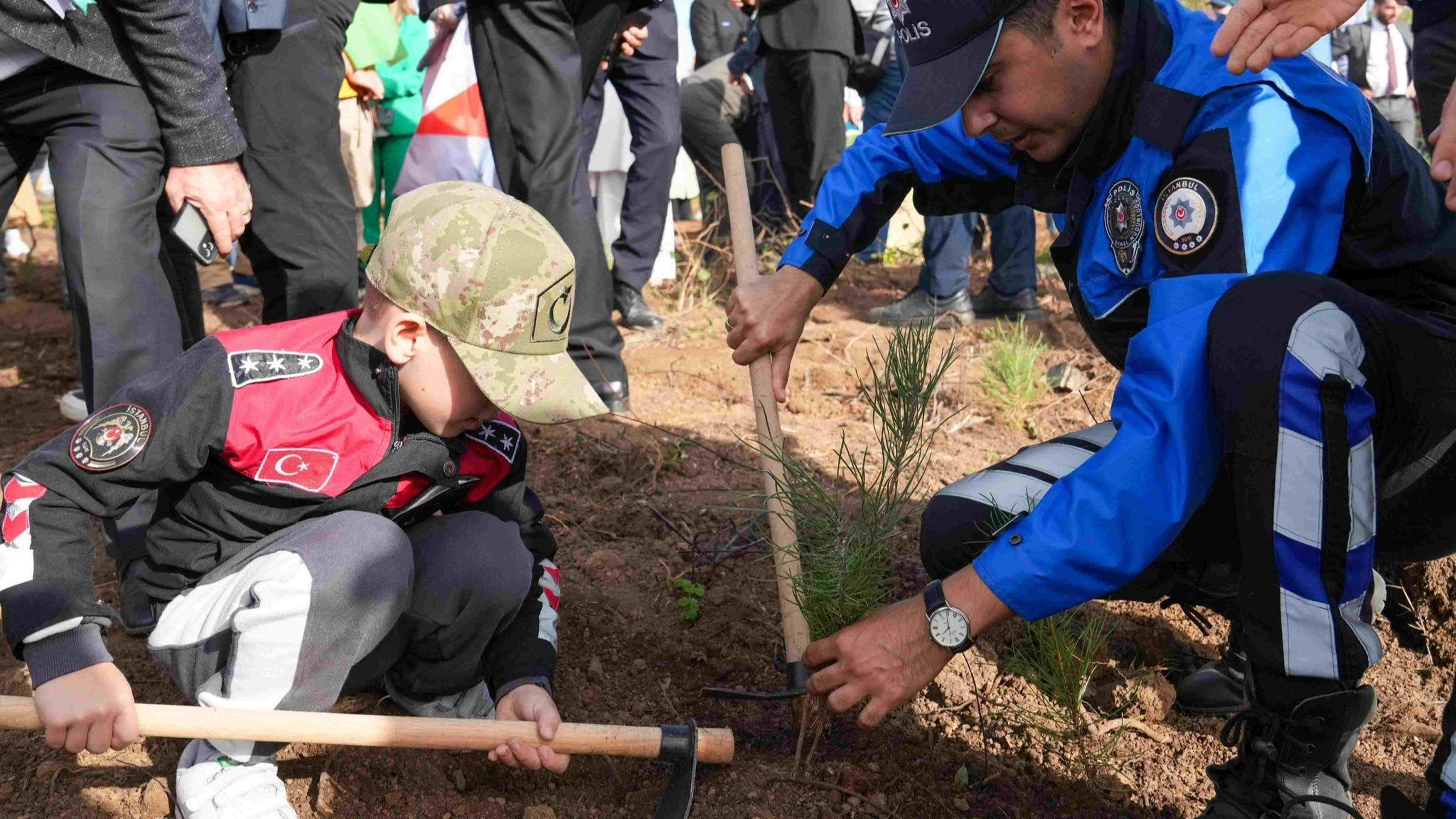 Reforestation effort takes place in Istanbul