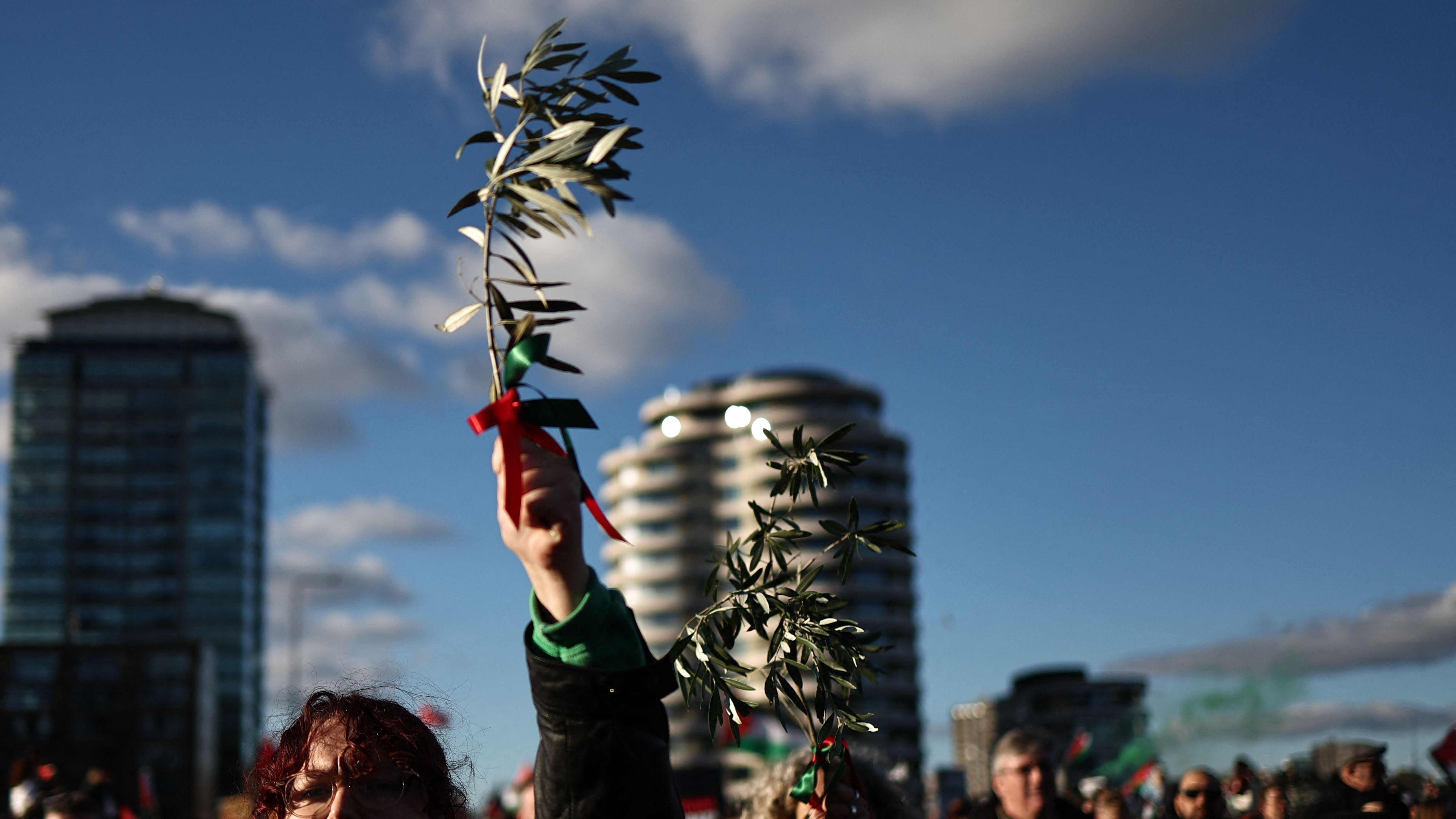 Hundreds of thousands stage Armistice Day pro-Palestinian rally in London