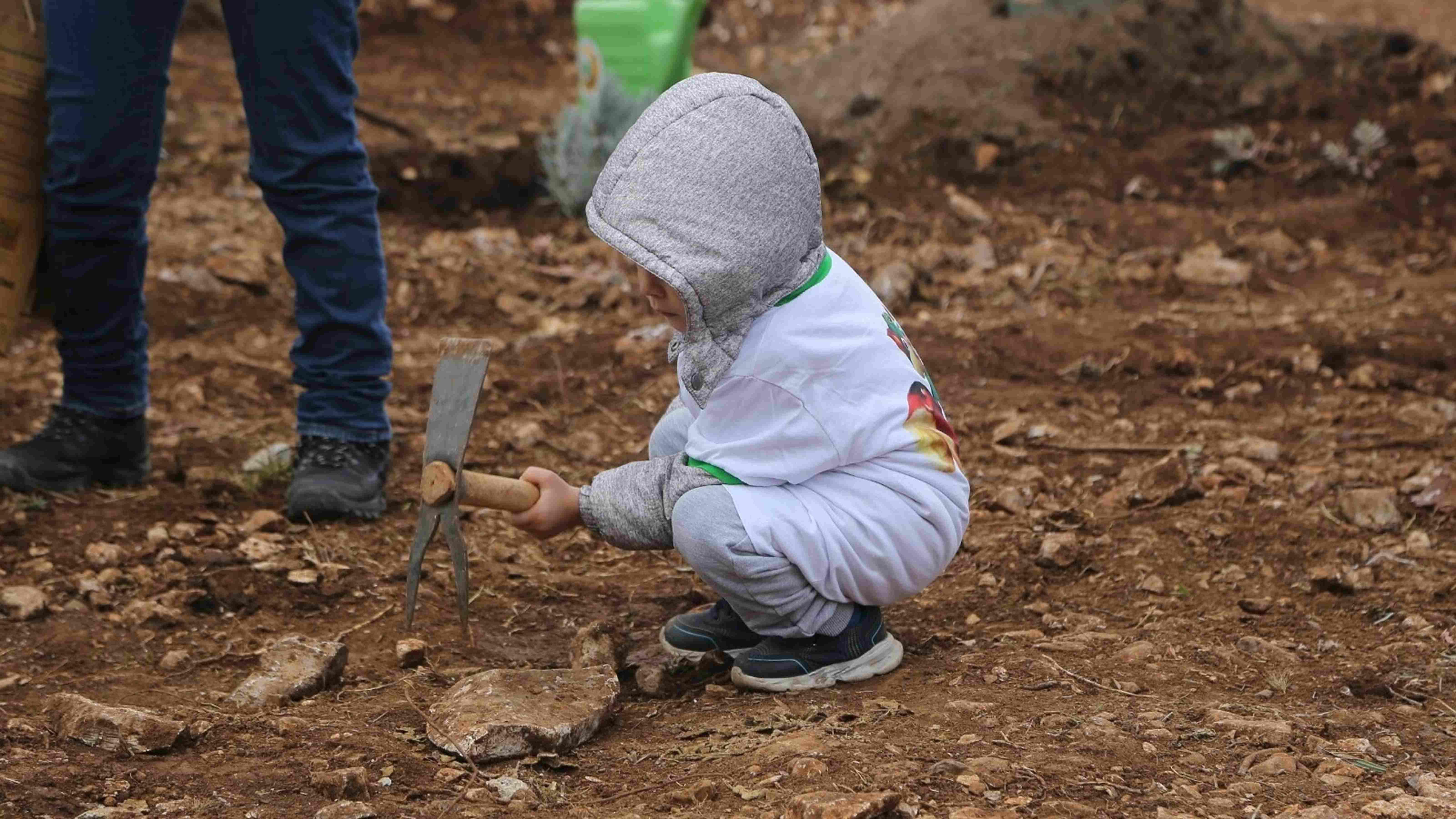 Republic forests established in all 81 cities