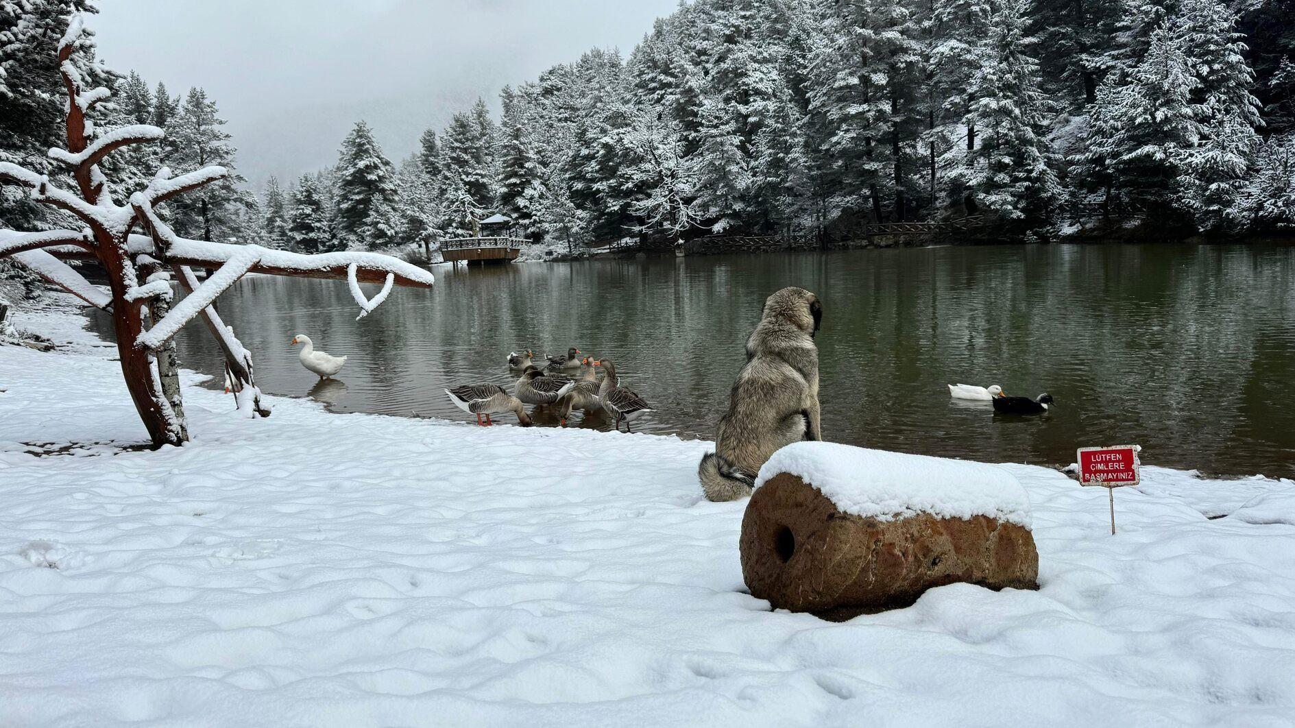 Snowfall, fierce storms batter many provinces