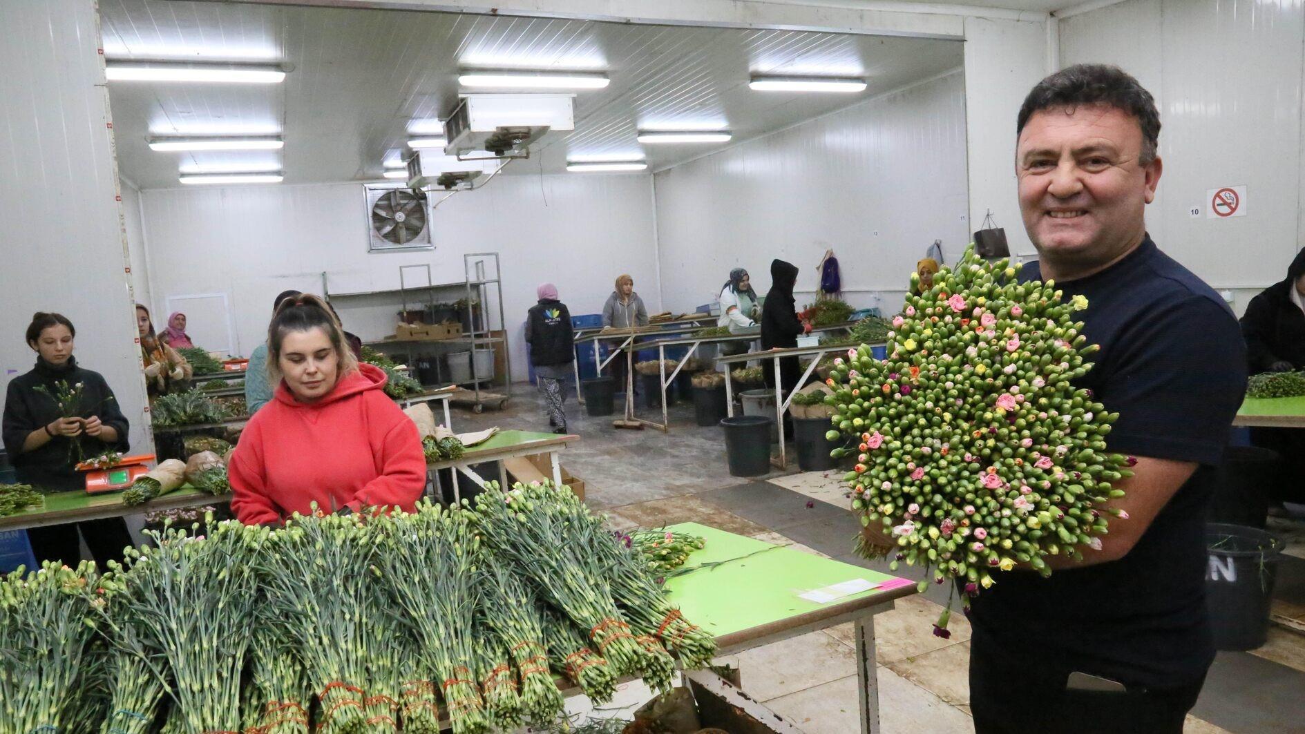 Christmas flower exports started to Europe worth $20 mln