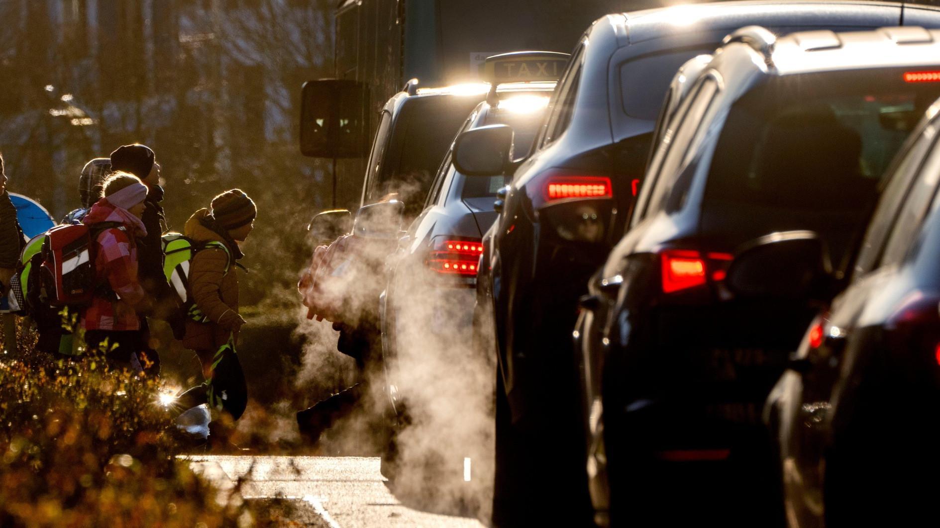 EU rules have failed to cut car emissions: Report