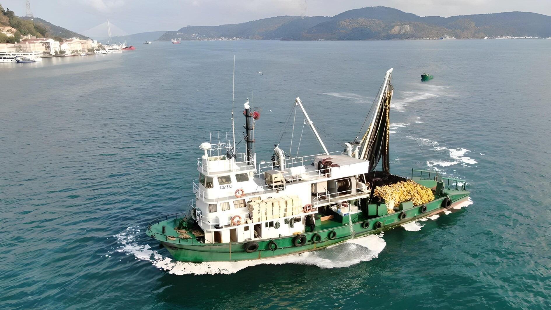 Claims of coastal fishing in Bosphorus spark debate