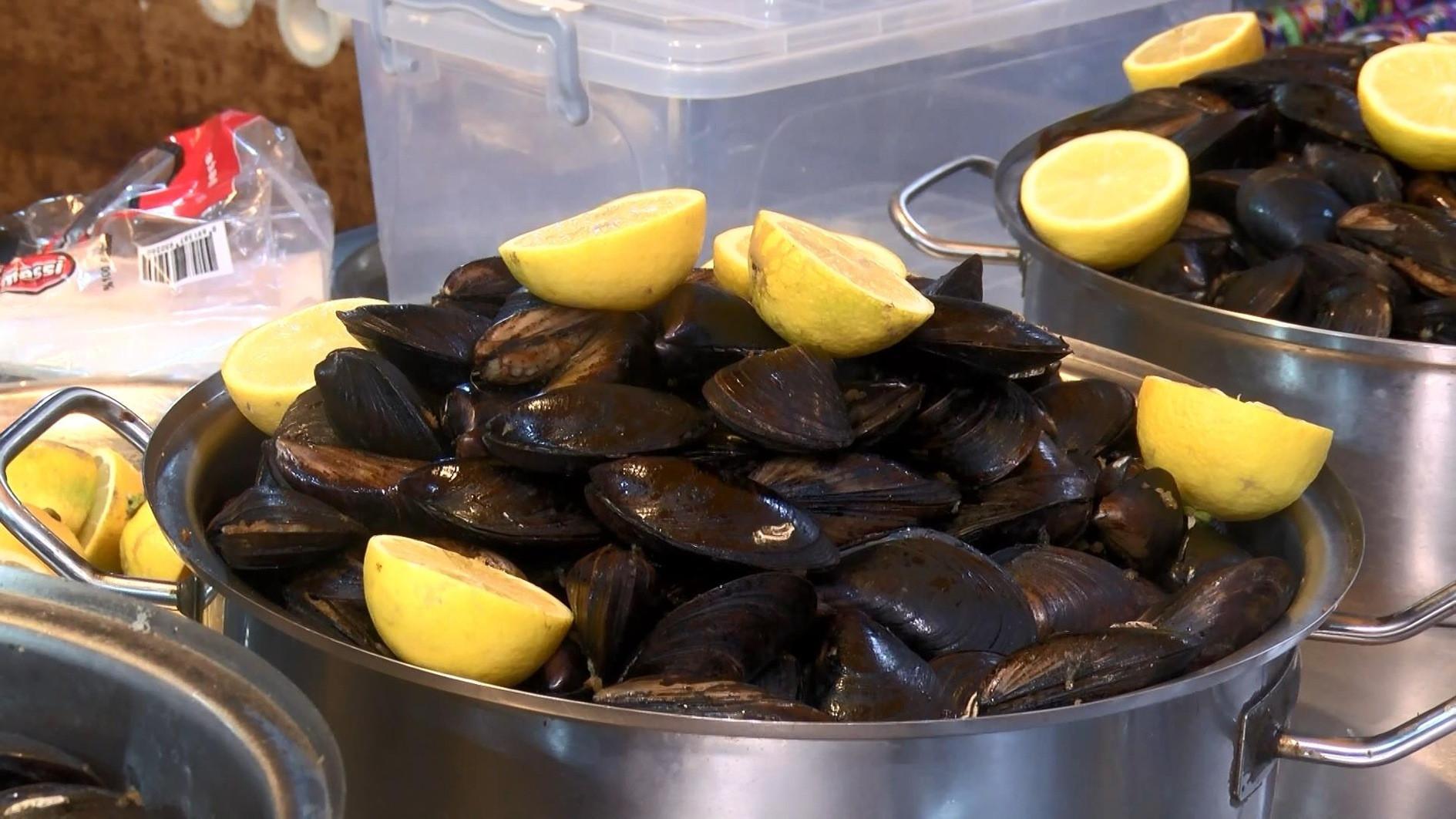 Microplastics found in mussels in Bosphorus Strait: Study