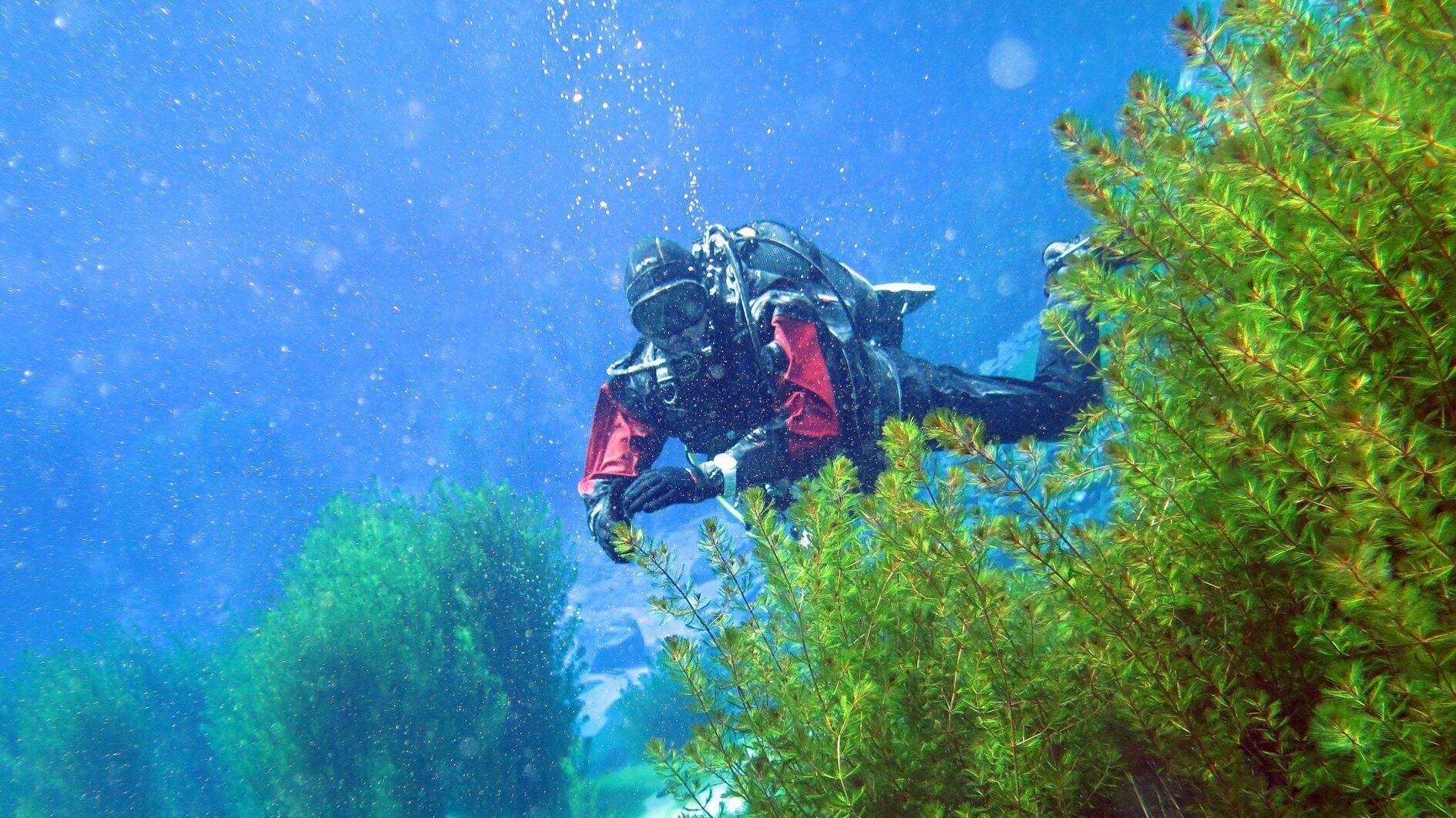 Turquoise gem Lake Gökpınar closes for divers