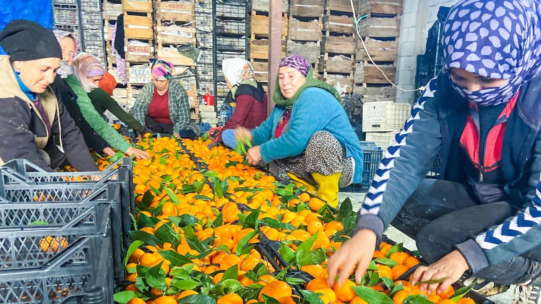 New regulations to enhance rights of seasonal agricultural laborers