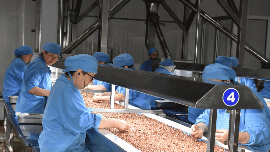 Companies likely to boost hiring, shows survey