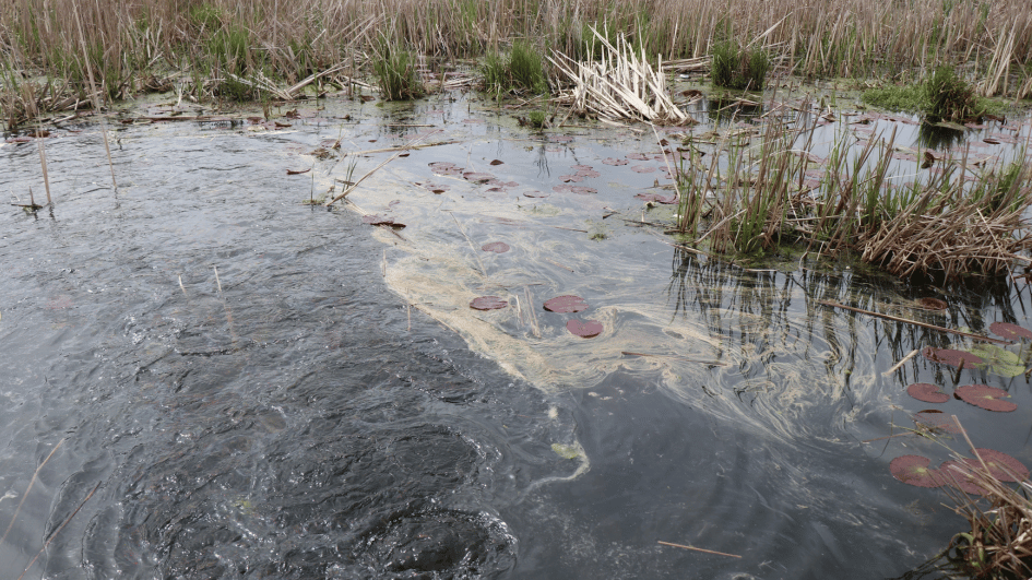 Oil leak from NATO pipeline pollutes Sapanca Lake