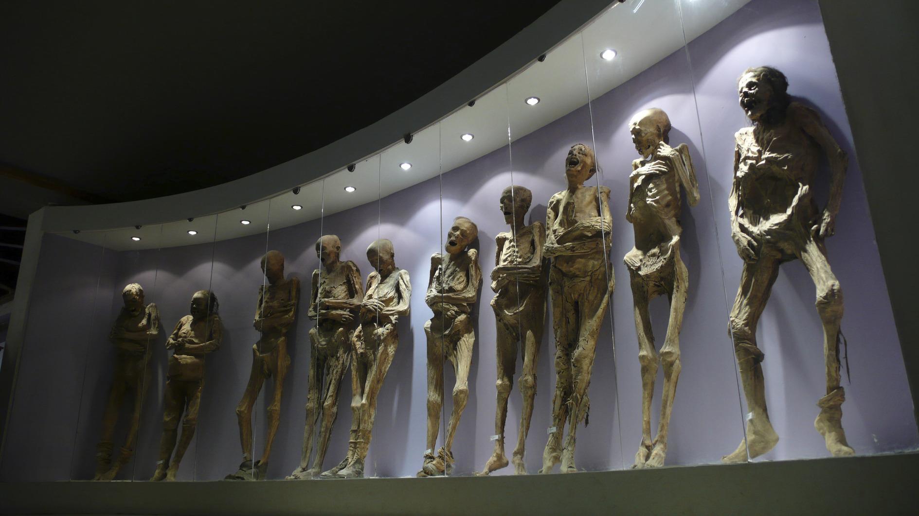 19th century mummy mishandled by museum staff