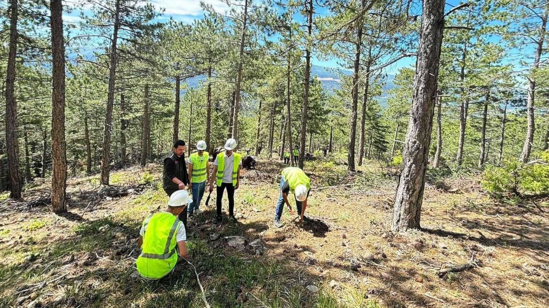 Ministry unveils major forest project