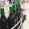 Sales of beverages in Turkey untouched by crisis