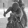 Belmont Stakes sees Summer Bird victory