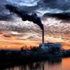 World Bank predicts a 5.5 pct contraction