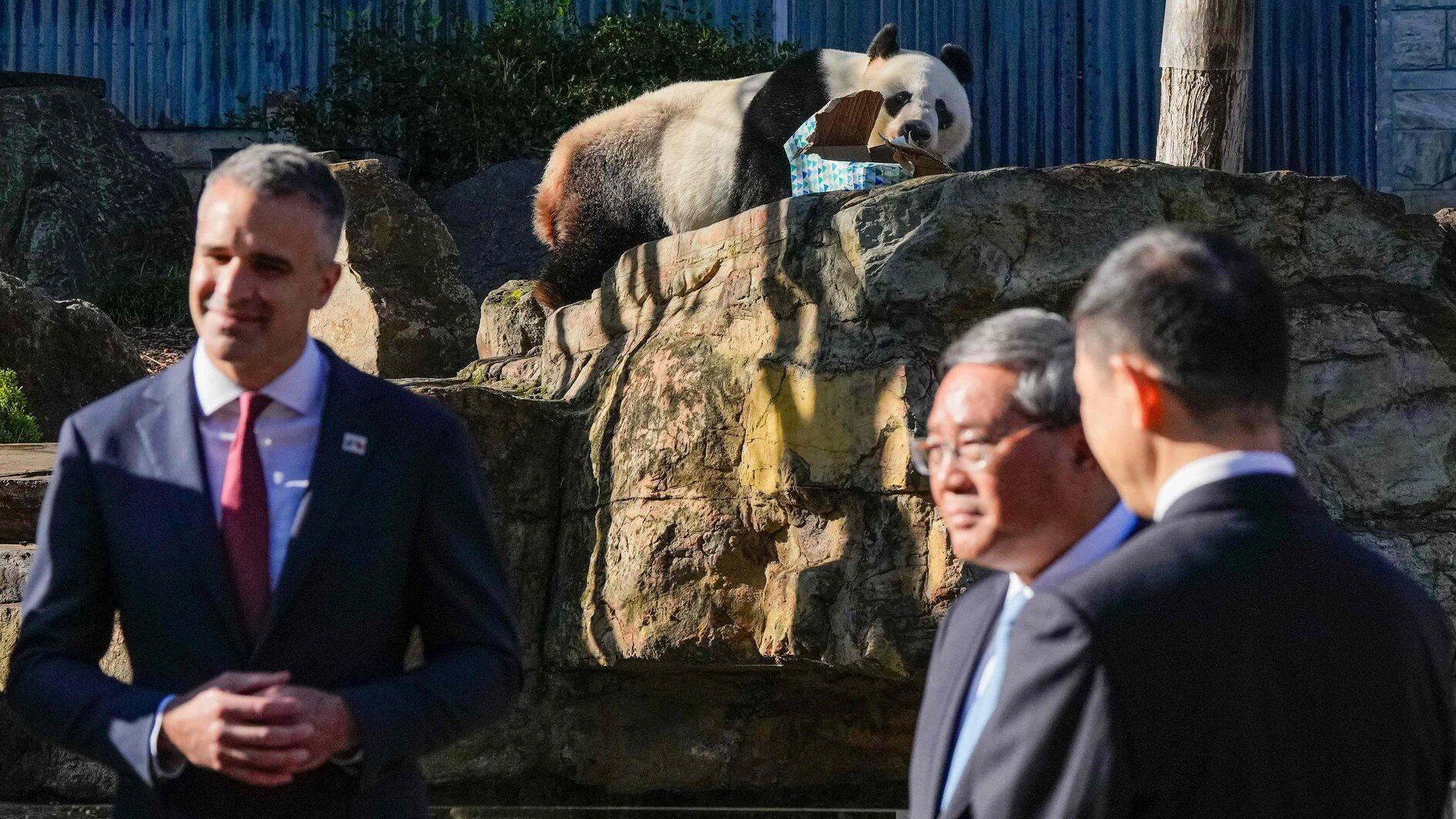 Chinese Premier Li toasts warming trade ties in Australia