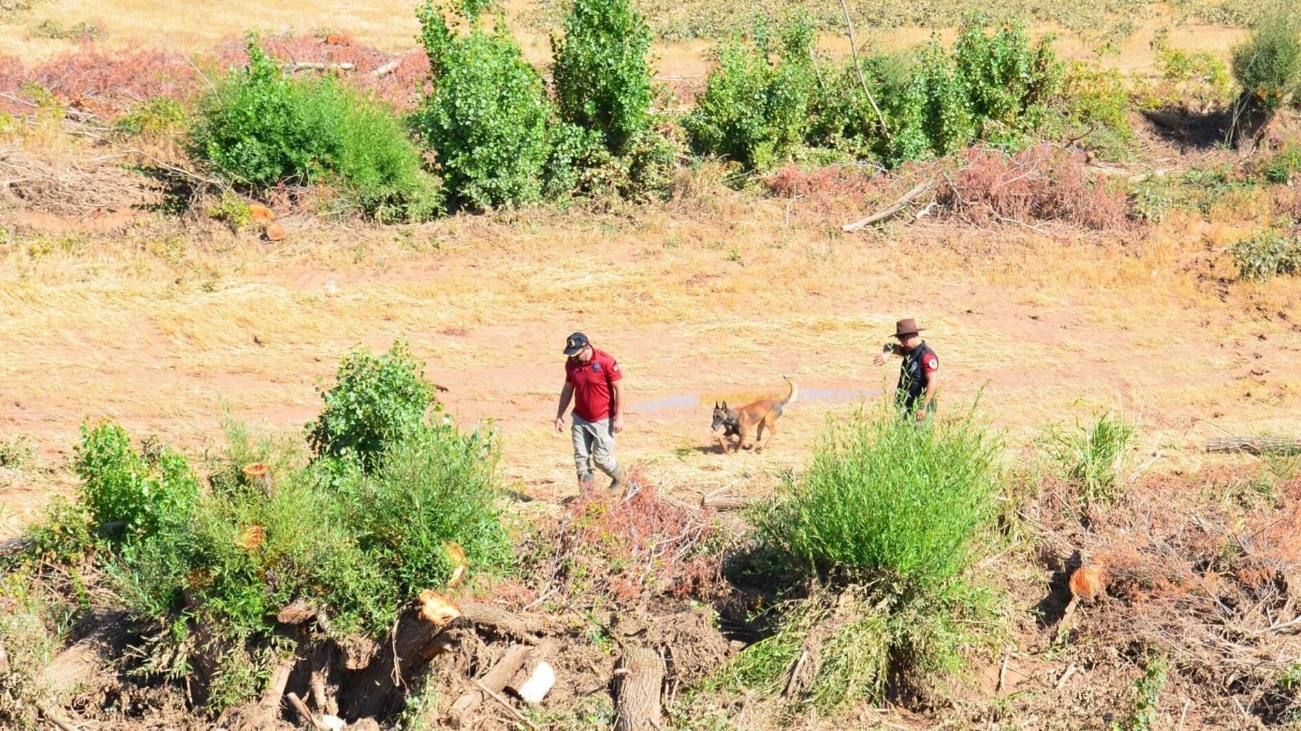 Elite dog unit receives advanced training for disaster response