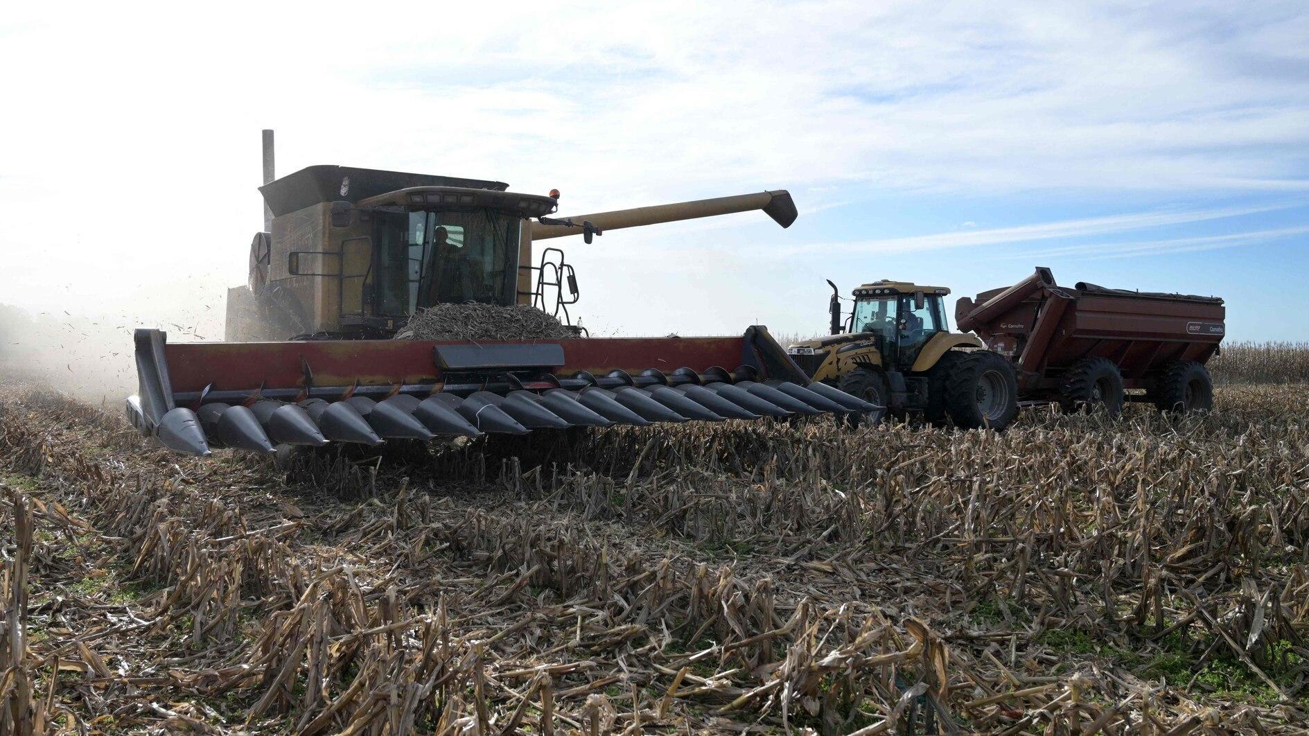 Argentina has surplus harvest, but farmers want more from Milei