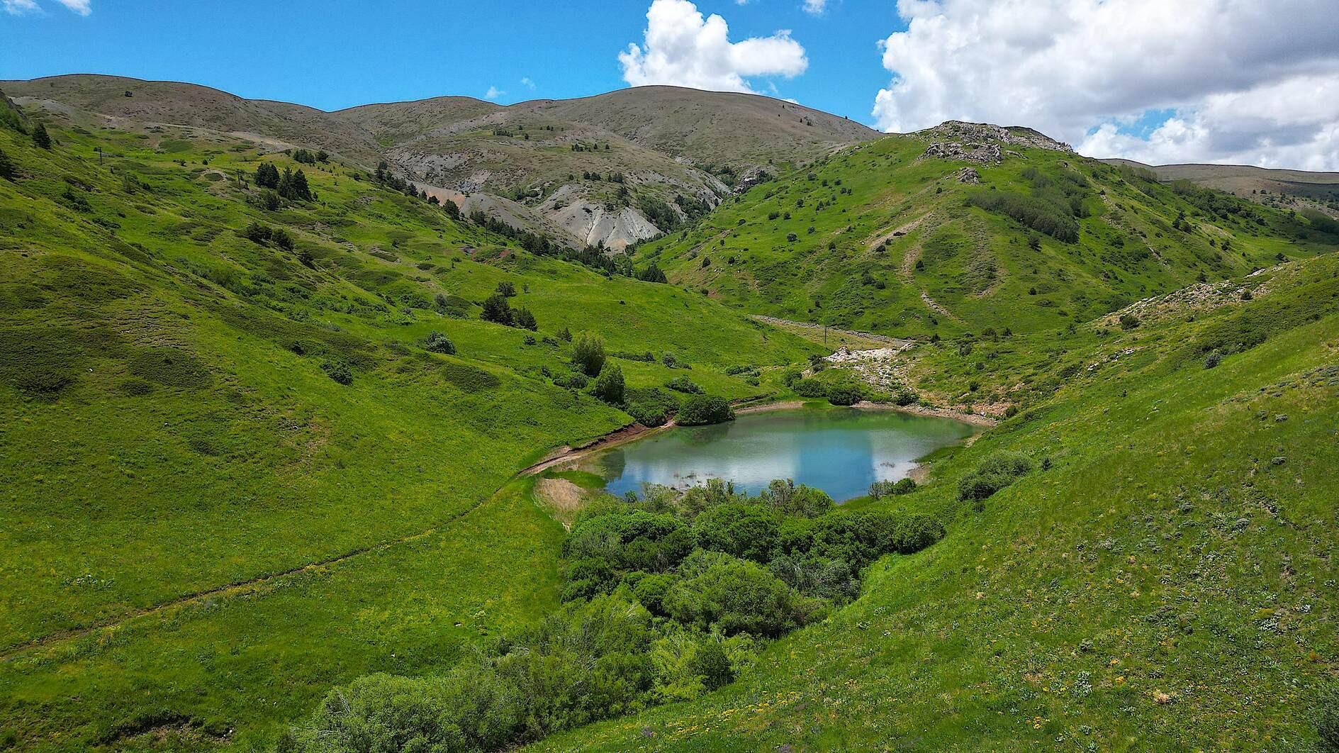 Kop Mountain: A sanctuary of biodiversity and history
