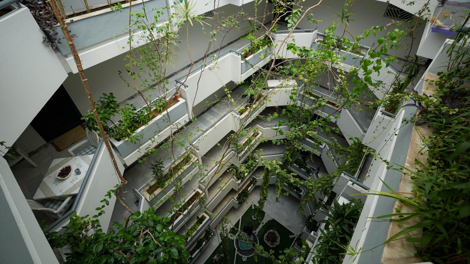 Janitor brothers transform apartment building with greenery over 30 years