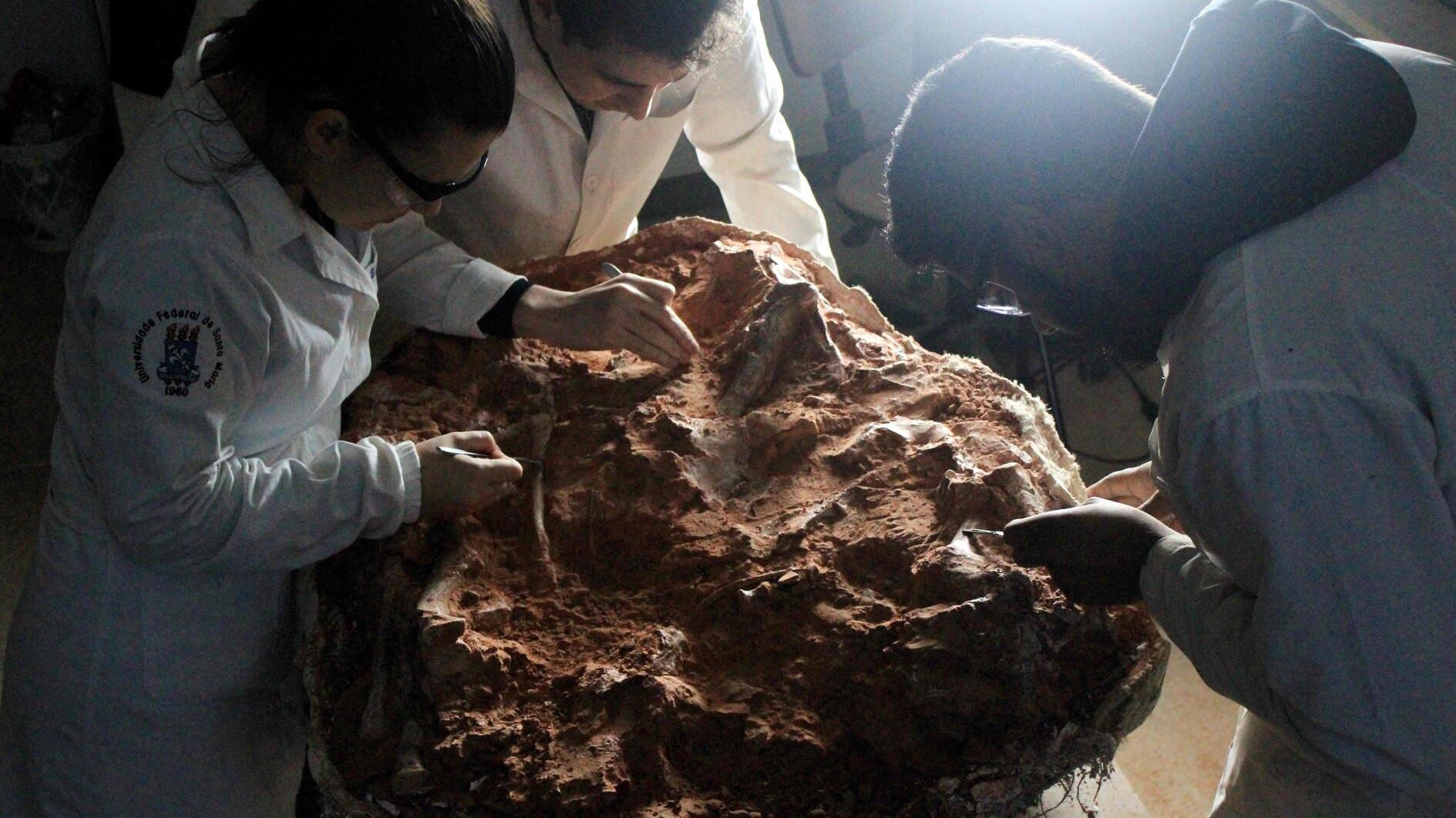 Well-preserved dinosaur fossil revealed by Brazilian flood