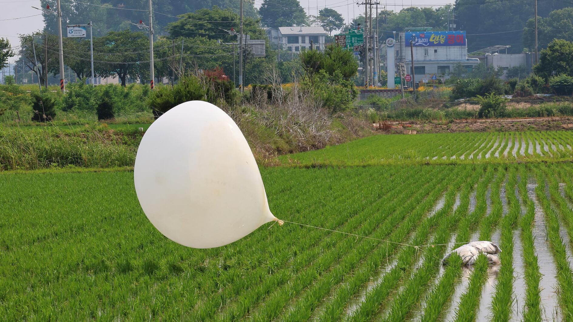 More trash balloons launched from North Korea, says Seoul