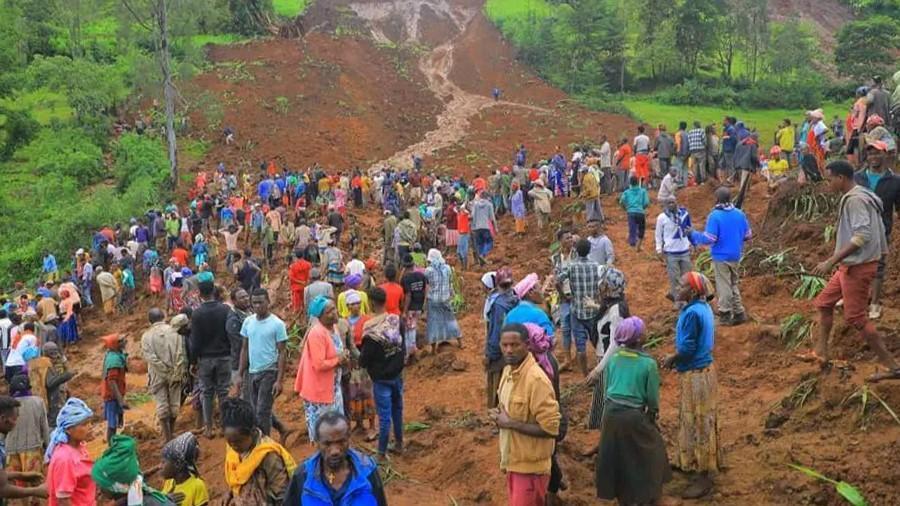 Death toll from Ethiopia landslide rises to 146: Local official