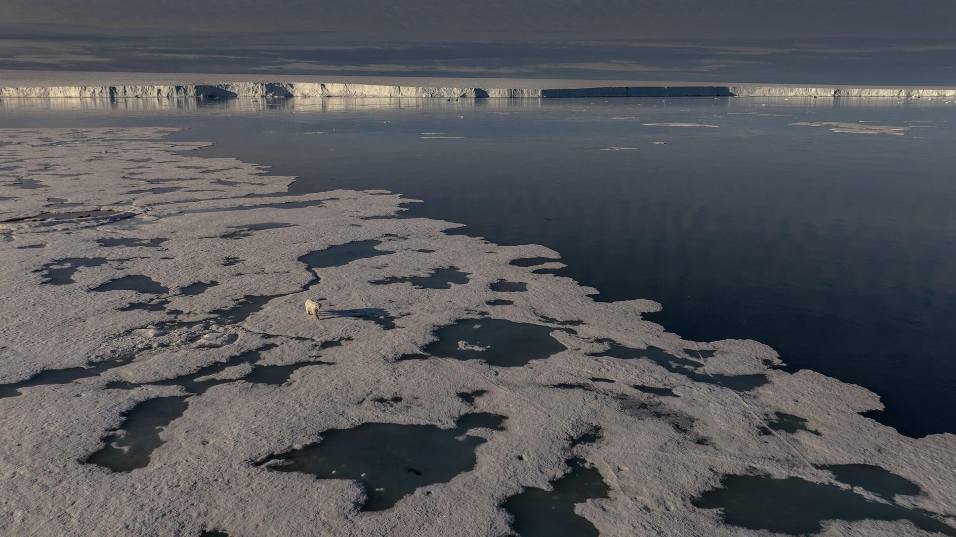 Türkiye’s 4th Arctic scientific research expedition team returns