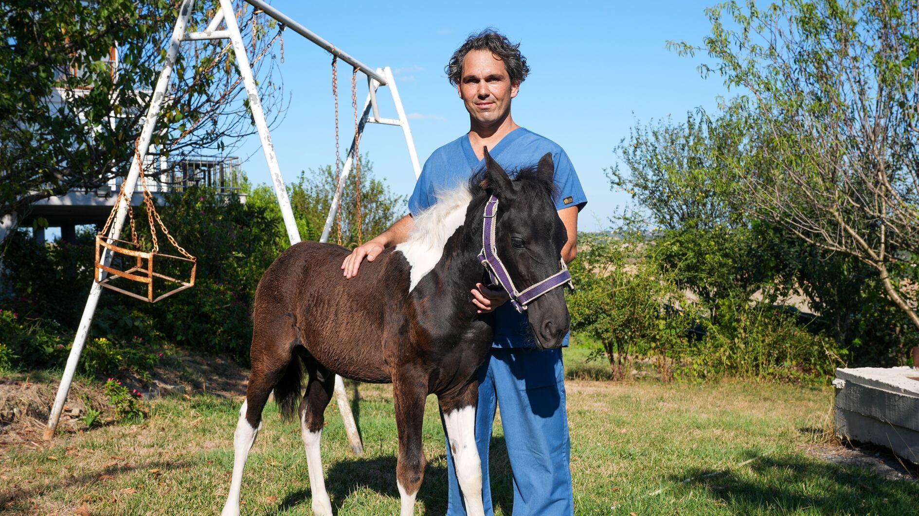 Türkiye’s first IVF foal ‘Balat’ meets public for first time