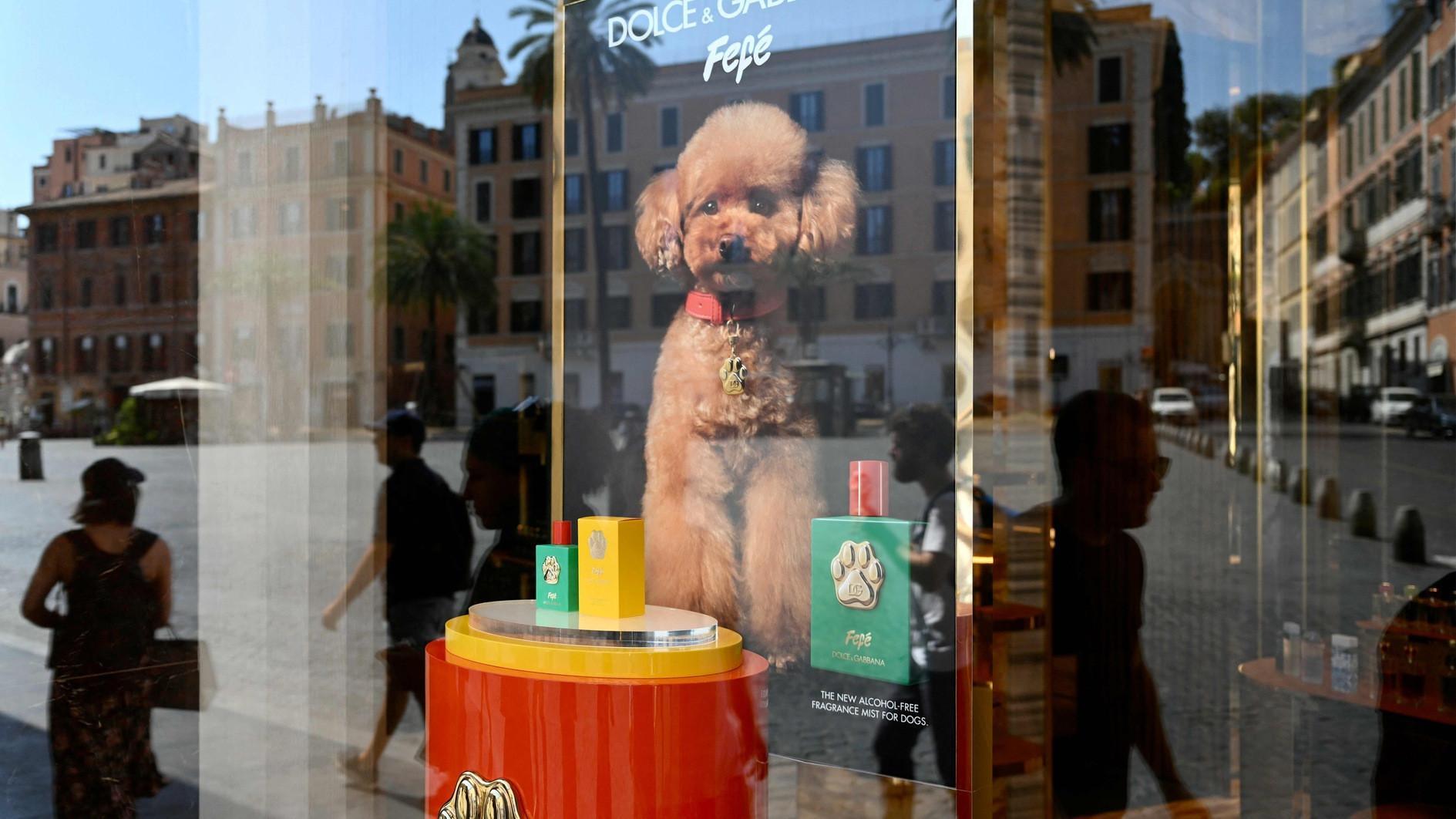 Dolce & Gabbana launches controversial dog perfume