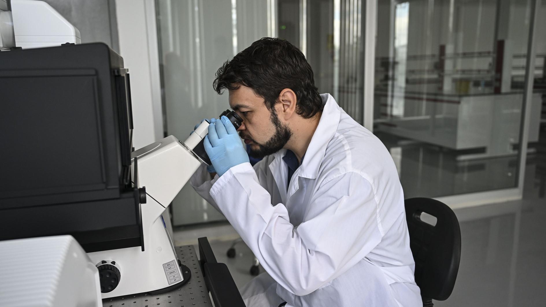 Scientists develop sheep-derived heart valve implant