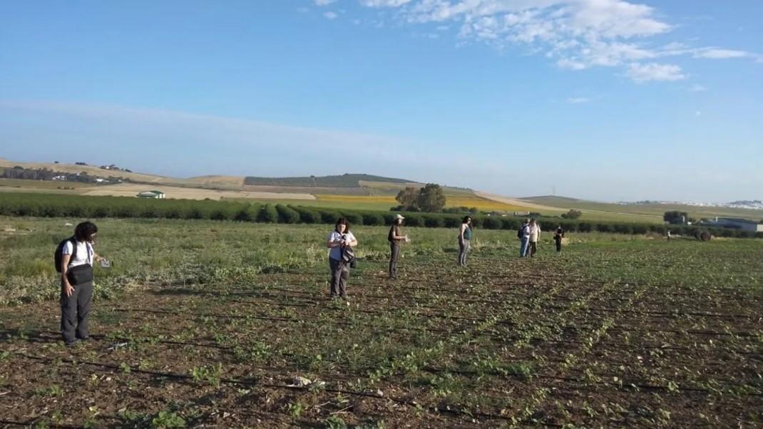 ‘Hidden empire’ discovered in Spain