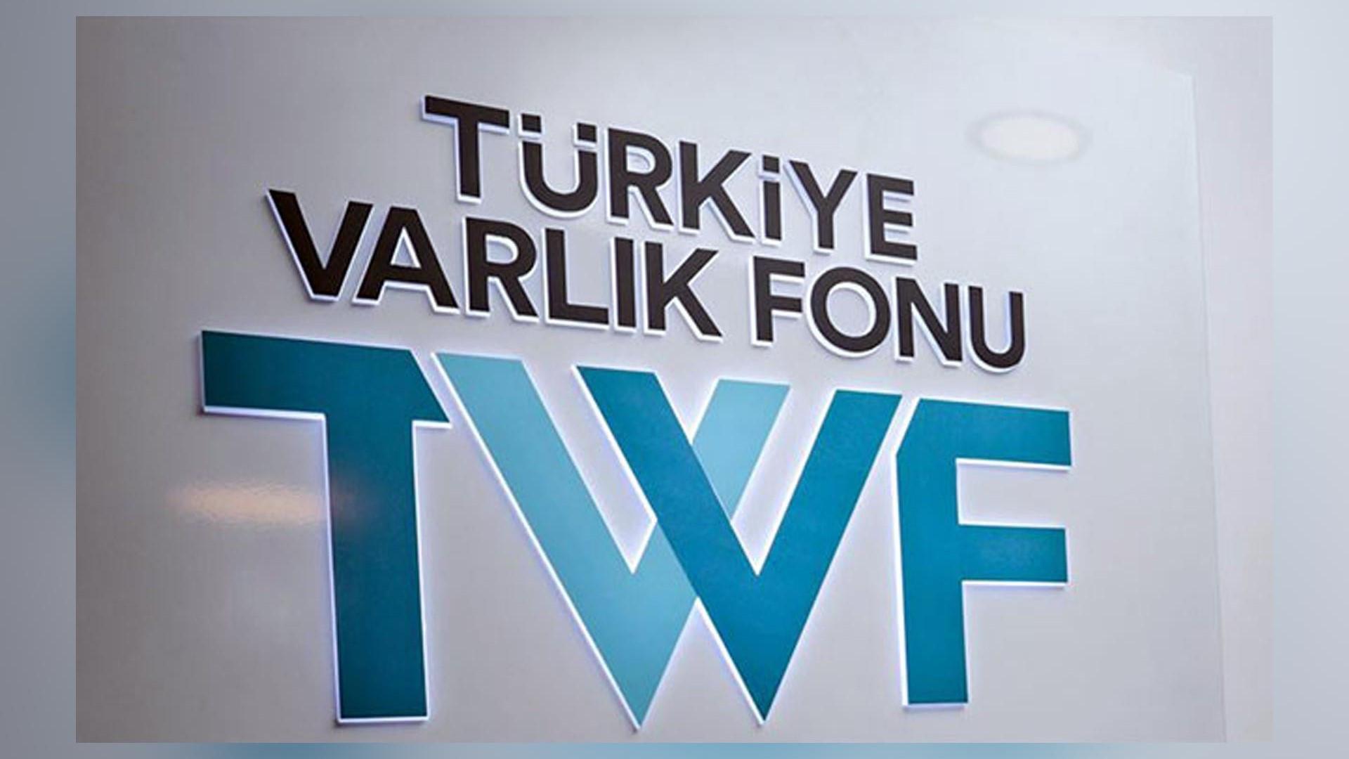 Treasury-held shares of 12 companies transferred to TVF