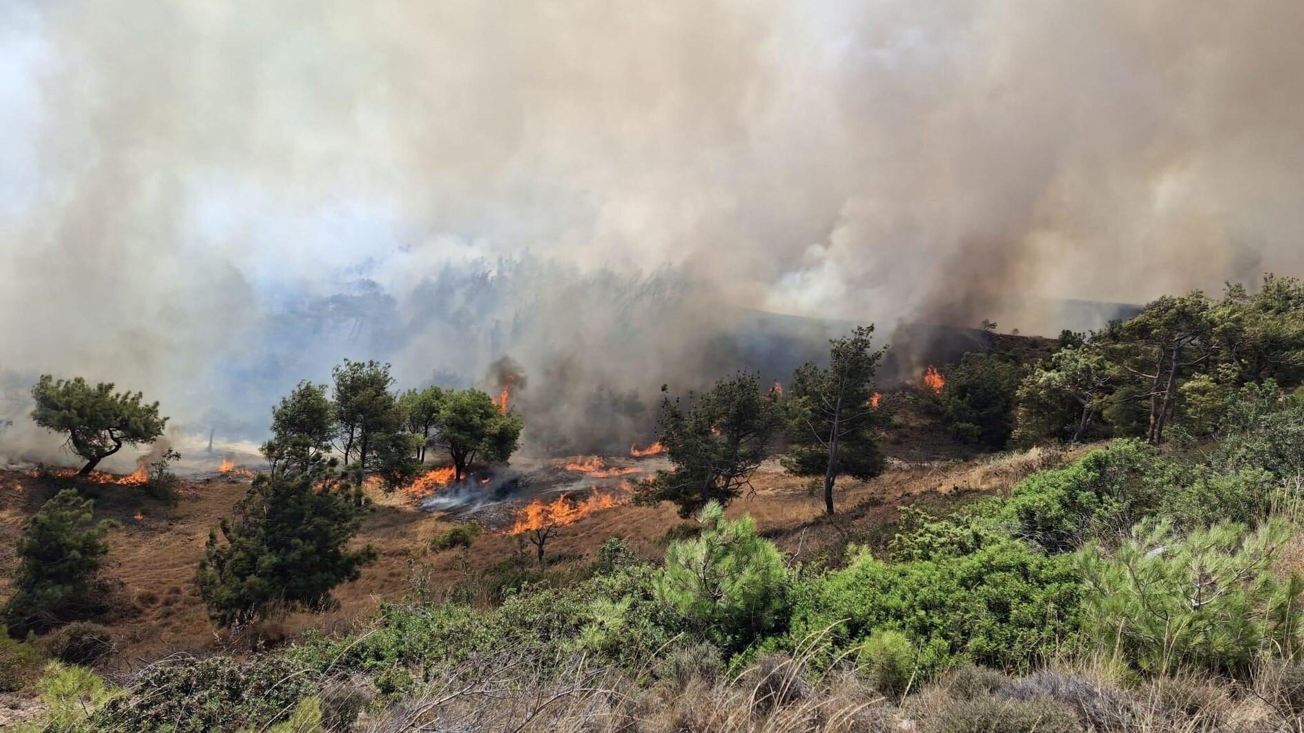 Bozcaada police identify arson suspect in Aegean island fire