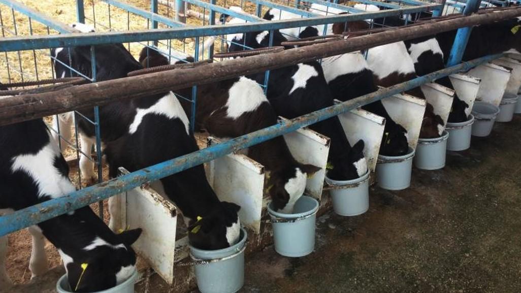 Costs outpace selling prices for milk producers