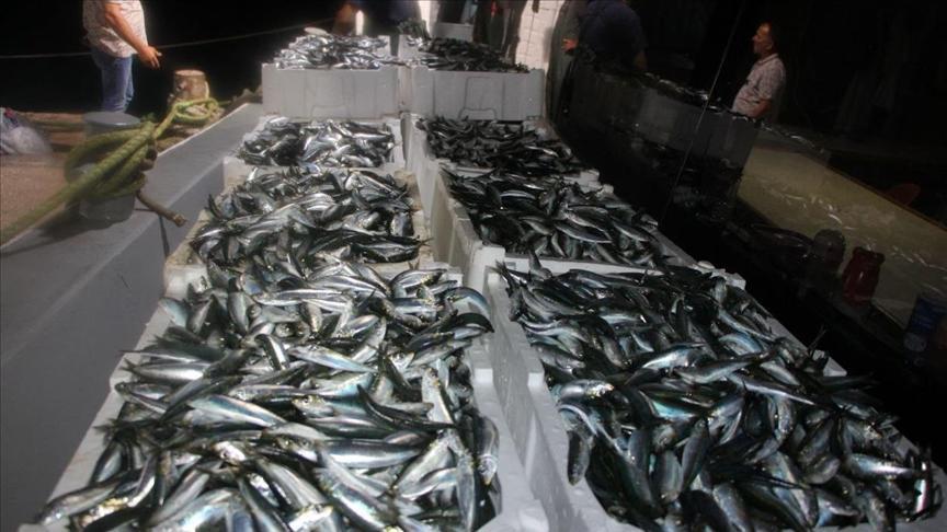 Fishermen cast lines as seasonal ban lifts